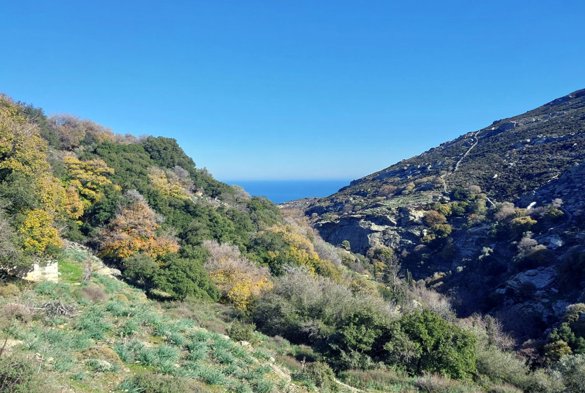 Sea view and mountain nature