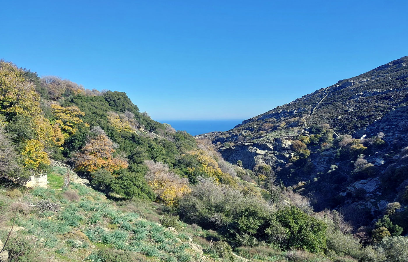 Sea view and mountain nature