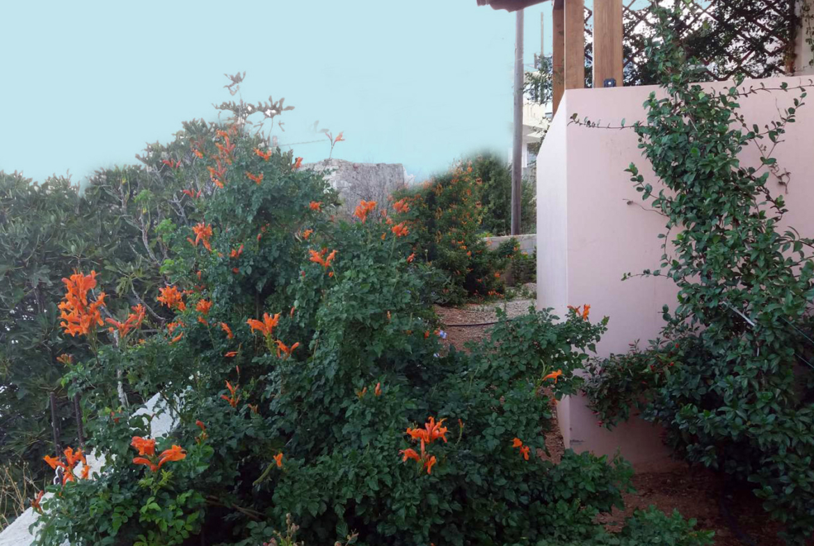 verada with view in garden