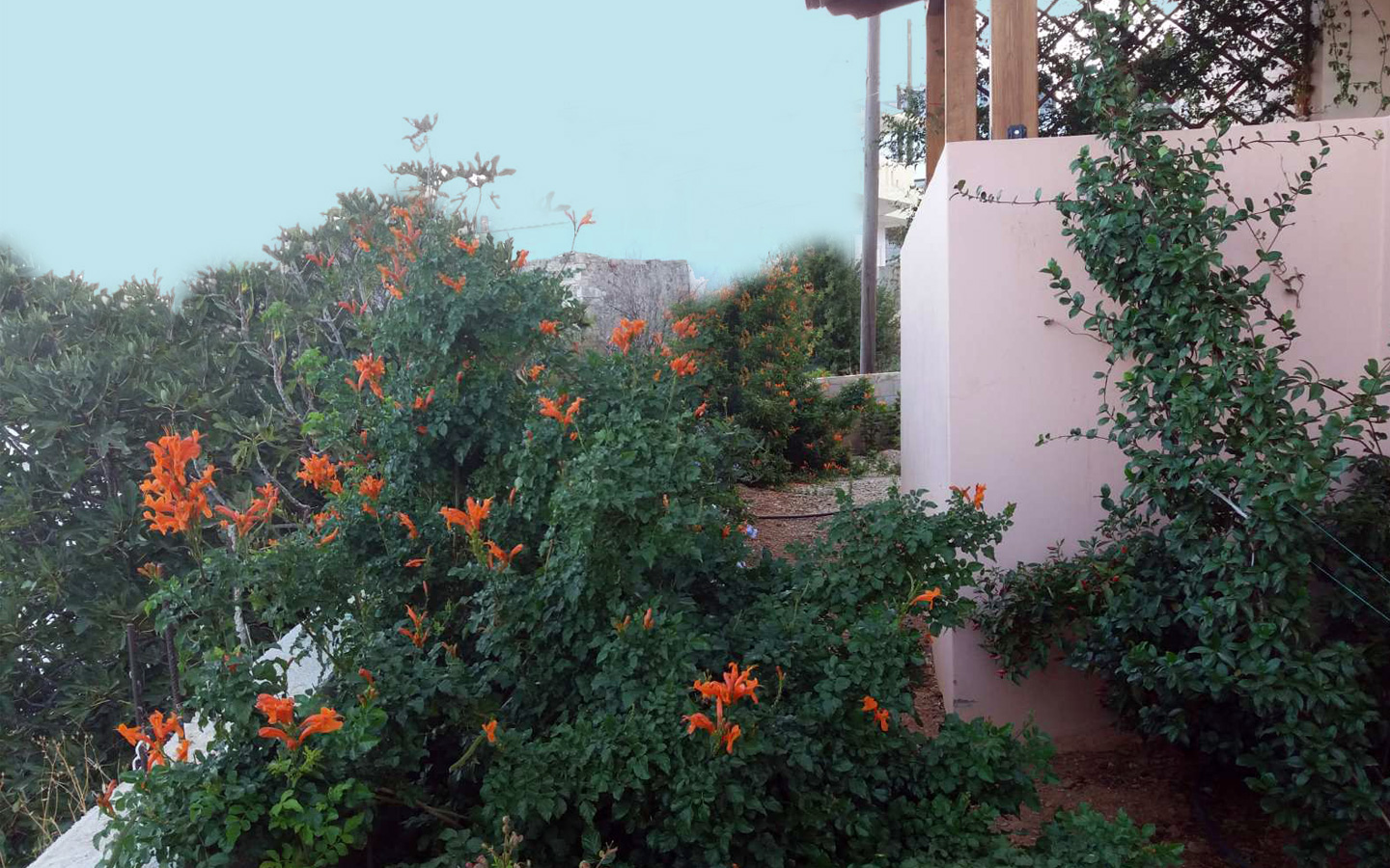 verada with view in garden